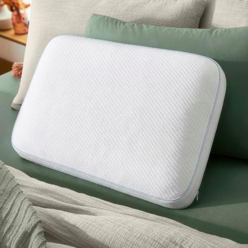 Luxe Comfort Gel & Mini Cushion Pillow