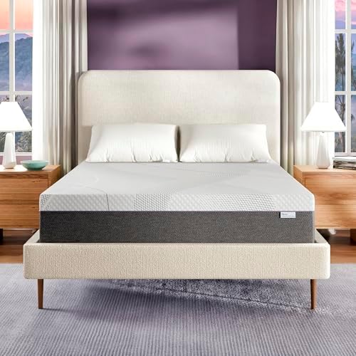 Shiloh 14" Memory Foam Mattress